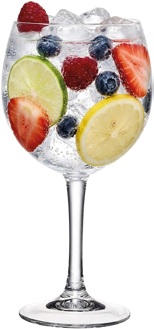 GIN & TONIK